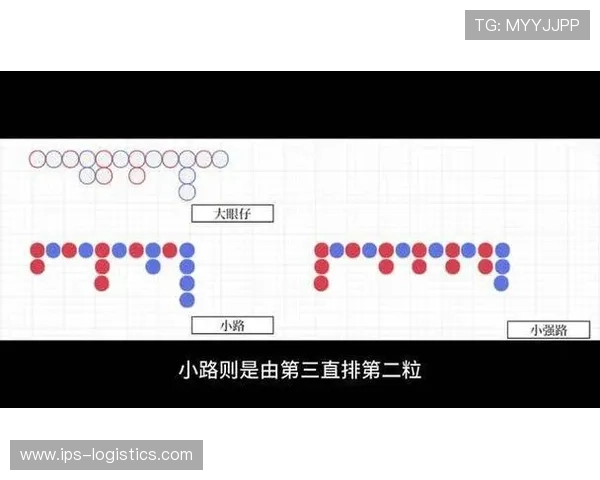 掌握百家樂下三路技巧的实用方法帮助玩家降低风险提升收益