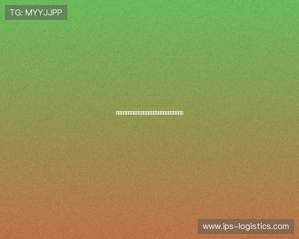 沙特阿拉伯与佛得角队阵容深度分析:世界杯小组赛关键看点