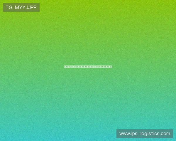 乐鱼全站最新登录入口为足球迷提供丰富的世界杯赛事数据与精彩赛事回顾